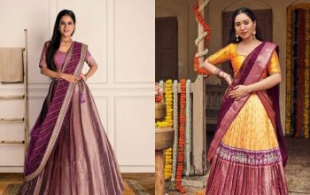 Half and Half Saree Designs