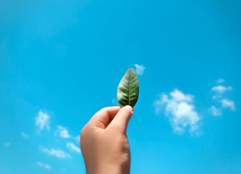 Consider the climate Consider the climate